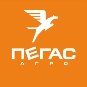 Суппорт HYUNDAI задний правый